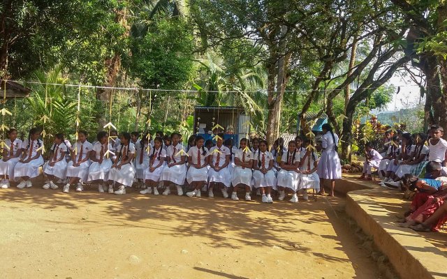 තෛපොංගල් උත්සවය 2019
